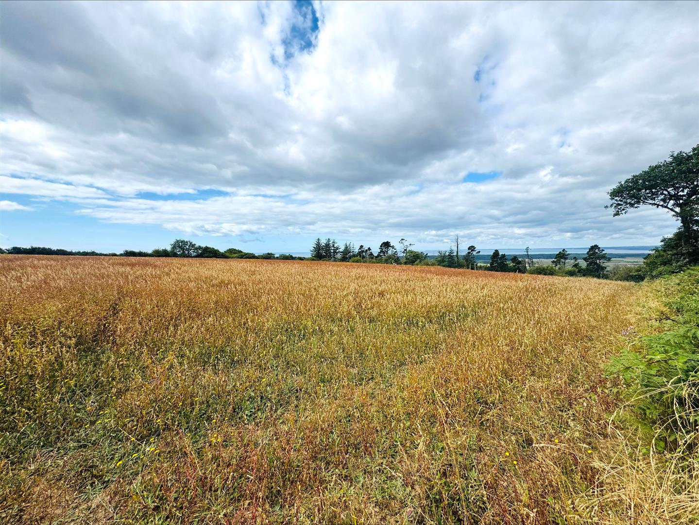 Pembrey, Burry Port, SA16 0BX